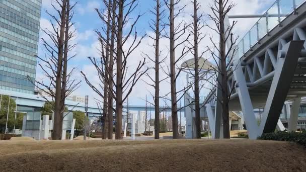 Tokyo Big Sight Daytime Landscape 2023 — Stock Video