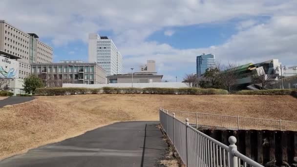 Tokyo Odaiba Daytime Landscape 2023 Winter — стокове відео
