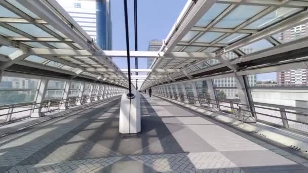 Tokyo Odaiba Paysage Jour 2023 Hiver — Video