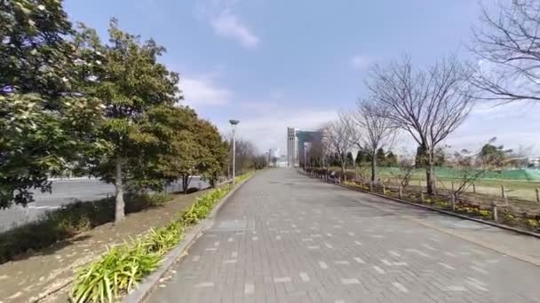Tokyo Odaiba Gündüz Manzarası 2023 Kış — Stok video