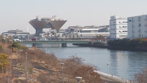 Tokyo Odaiba Paesaggio Diurno 2023 Inverno — Video Stock