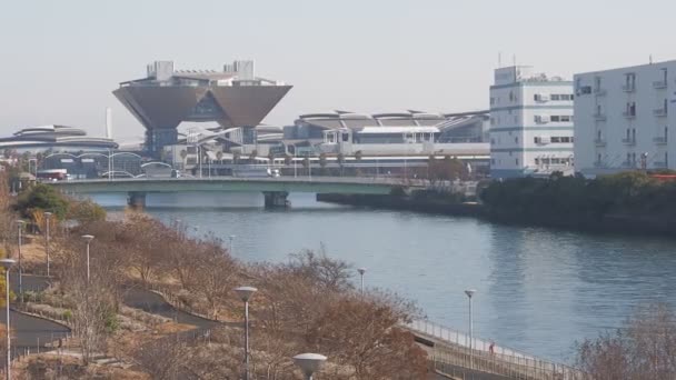 Τόκιο Odaiba Daytime Τοπίο 2023 Χειμώνας — Αρχείο Βίντεο