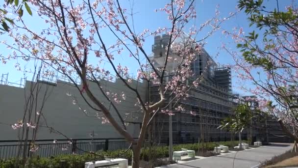 Harumi Přístaviště Demoliční Práce Únor 2023 Japonsko Tokio — Stock video