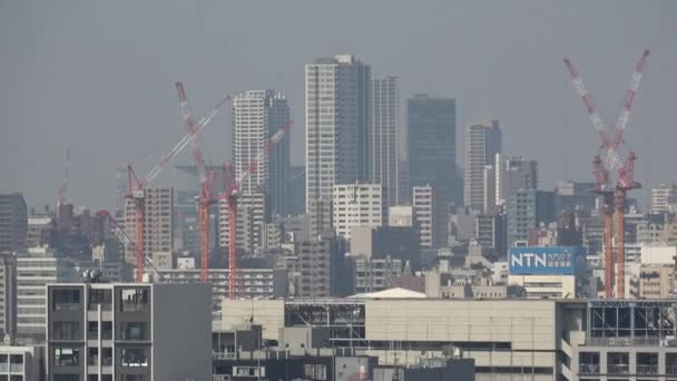 Tokyo Rainbow Bridge Landscape Březen 2023 — Stock video