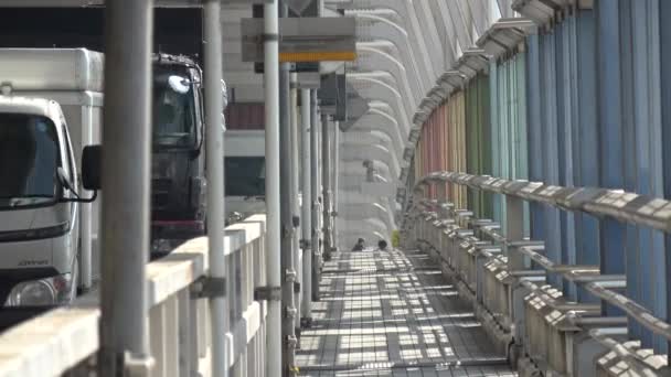 Tokio Regenbogenbrücke Landschaft März 2023 — Stockvideo