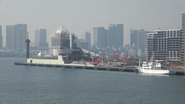 Harumi Muelle 2023 Telefoto Video Tokio — Vídeo de stock