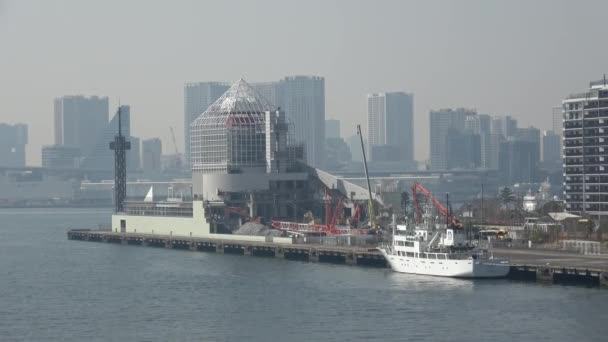 Harumi Wharf 2023 Telefilm Tokyo — Stockvideo