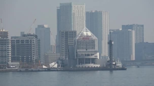 Harumi Wharf 2023 Telephoto Video Tokyo — Stock Video