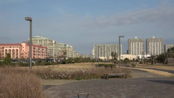 Urayasu Hinode海滩散步 — 图库视频影像