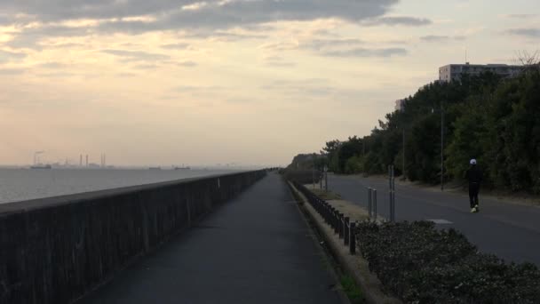 Urayasu Hinode Beach Promenade Japan Ранним Утром — стоковое видео