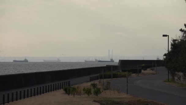 Promenada Urayasu Hinode Beach Japonia Wczesnym Rankiem — Wideo stockowe