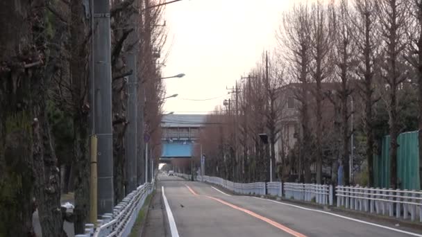 Urayasu Japán Chiba 2023 Kora Reggel — Stock videók
