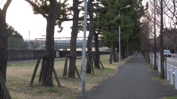 Urayasu Japan Chiba Tidig Morgon 2023 — Stockvideo