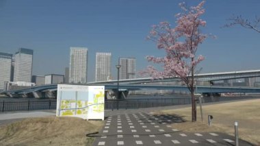 Tokyo Körfezi Bölgesi 2023 Baharı