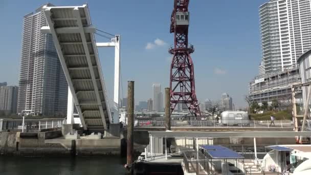 Tokyo Bay Area Landskap 2023 Vår — Stockvideo