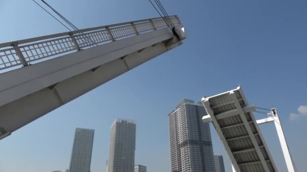Tokyo Bay Area Τοπίο 2023 Άνοιξη — Αρχείο Βίντεο