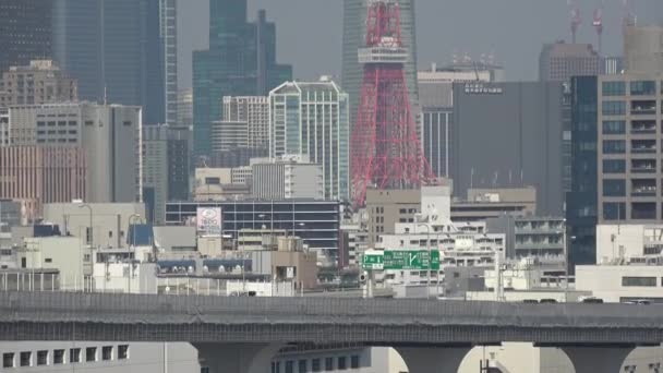Ландшафт Токійської Затоки 2023 Весни — стокове відео