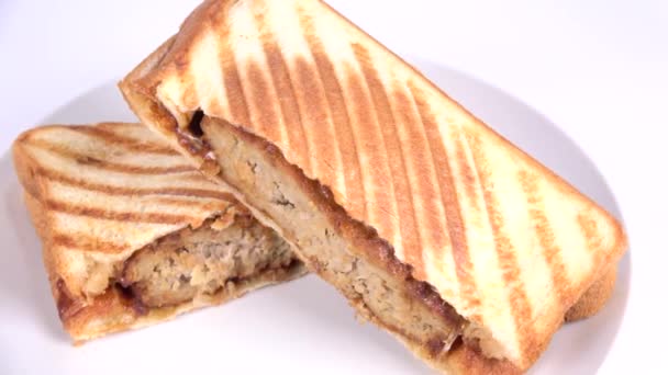 Fierbinte Sandwich Hamburger Friptură Clip Video — Videoclip de stoc