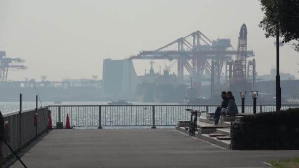 石浦南码头公园2023彩虹大桥 — 图库视频影像