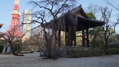 Zojoji Tapınağı Sabah erken saatlerde, Japonya Tokyo 2023