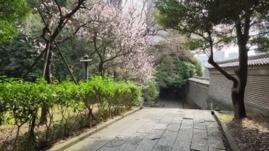 Yushima Seido, Japonya Tokyo Manzarası 2023