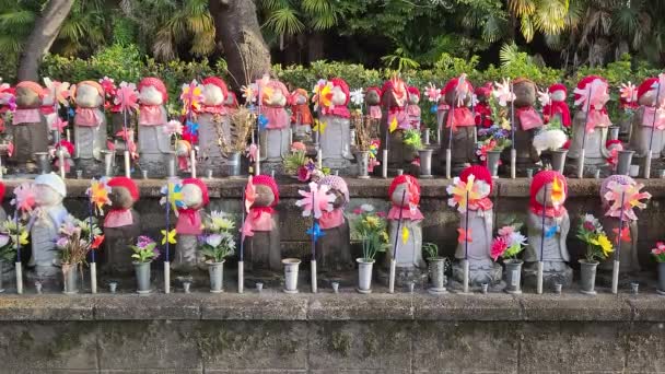 Храм Зоджоджі Рано Вранці Японія 2023 Рік — стокове відео