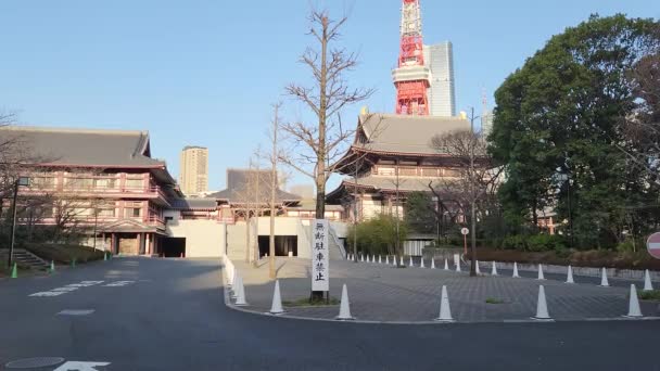 Temple Zojoji Tôt Matin Japon Tokyo 2023 — Video