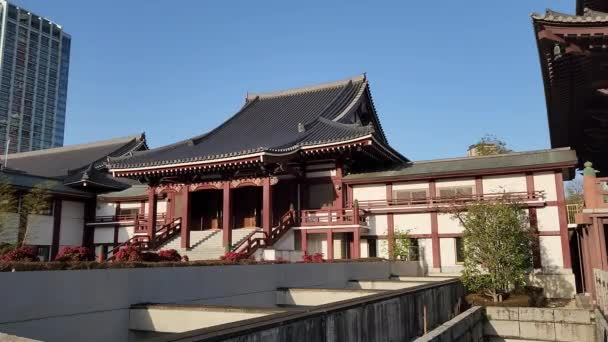 Tempio Zojoji Mattina Presto Giappone Tokyo 2023 — Video Stock