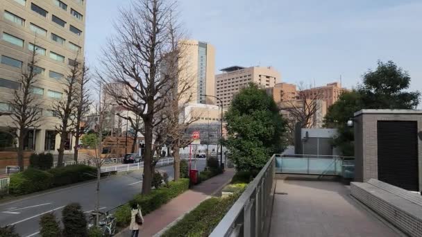 Ochanomizu Landscape Japan March 2023 — 비디오