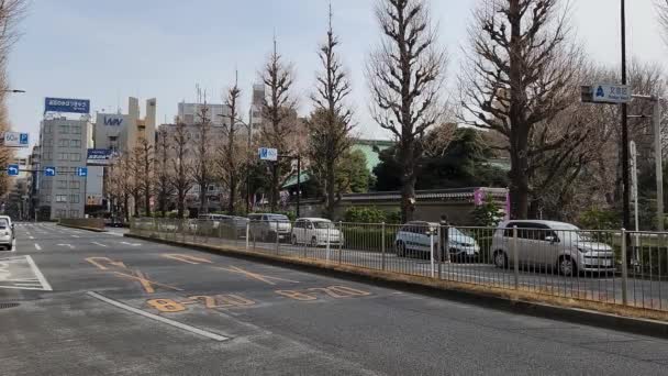 Krajobraz Ochanomizu Japonia Tokio Marzec 2023 — Wideo stockowe