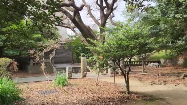 Yushima Seido Japan Tokyo Landscape 2023 — Stock Video
