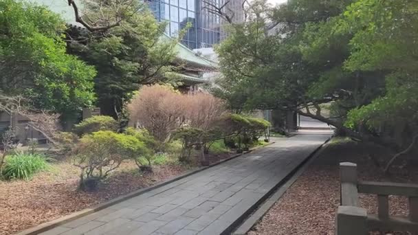 Yushima Seido Japan Tokyo Landscape 2023 — стокове відео