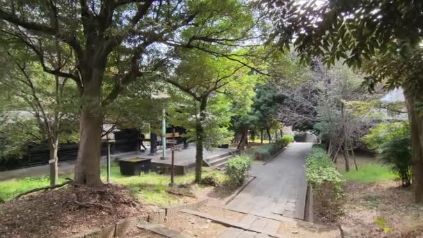 Yushima Seido Japan Tokio Landschaft 2023 — Stockvideo