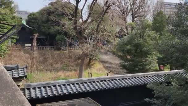 Yushima Seido Japan Tokyo Landscape 2023 — Stock Video