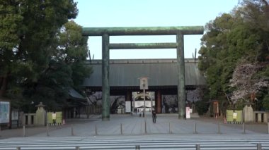 Yasukuni Tapınağı Kiraz çiçekleri, Japonya Tokyo 2023