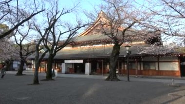 Yasukuni Tapınağı Kiraz çiçekleri, Japonya Tokyo 2023
