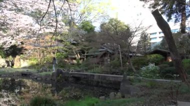 Yasukuni Tapınağı Kamiike Bahçesi Kiraz çiçekleri, Japonya Tokyo 2023