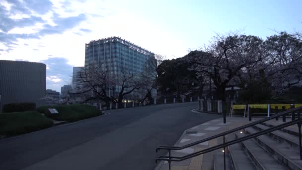 Chidorigafuchi Flor Cerezo Temprano Mañana Tokio Japón 2023 — Vídeo de stock