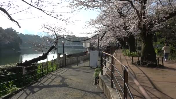 Chidorigafuchi 2023 — स्टॉक वीडियो
