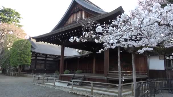 靖国神社桜 東京2023 — ストック動画
