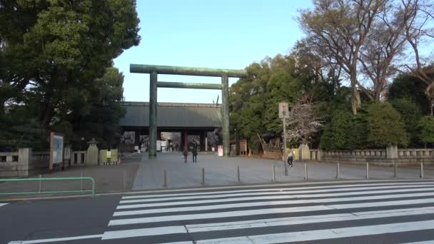 靖国神社樱花 日本东京2023年 — 图库视频影像
