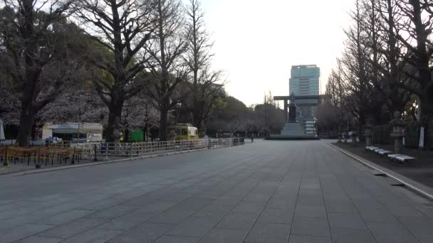 Yasukuni Shrine Cherry Blossoms Japan Tokyo 2023 — Stock Video