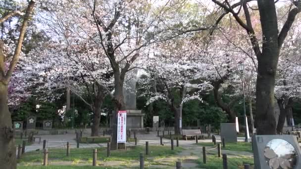 靖国神社樱花 日本东京2023年 — 图库视频影像
