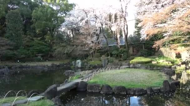 Ysukuni Shrine Kamiike Garden Cherry Flower Japan Tokyo 2023 — 비디오