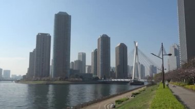 Shinkawa Park Kiraz Çiçeği, Japonya Tokyo 2023