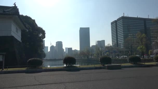 Цветение Сакуры Имперском Дворце Япония Март 2023 — стоковое видео
