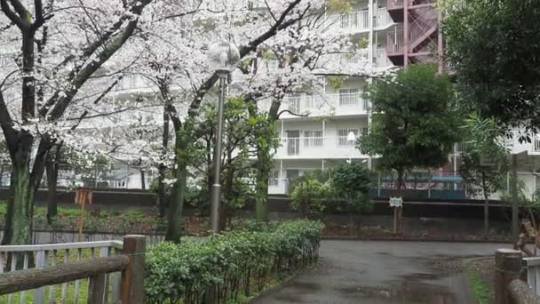 Парк Сендайборигава Япония Токио 2023 — стоковое видео