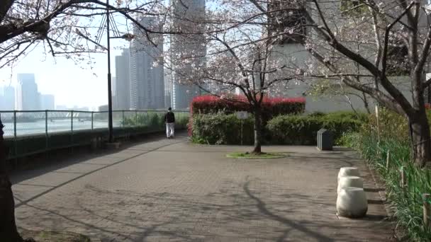 Синьцзян Уйгурский Парк Япония Токио 2023 — стоковое видео