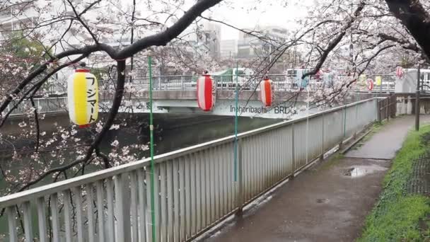 Река Ойоко Япония Токио 2023 — стоковое видео