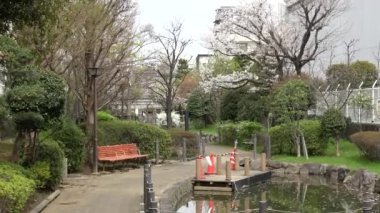 Fukutomigawa Park Kiraz Çiçeği, Japonya Tokyo 2023